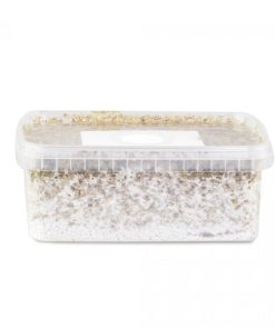 Albino A+ Mushroom Grow Kit Myydään Netissä Suomi