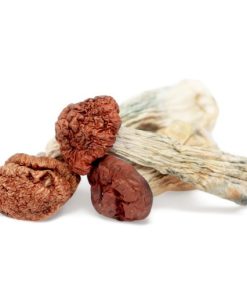 Blue Meanie Mushroom For Sale Online Finland