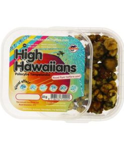 Dutch Dragons Magic Truffles For Sale Online Finland