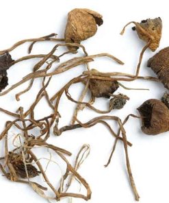 Buy Liberty Caps Mushroom Online Finland