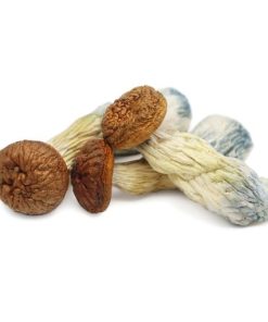 Penis Envy Magic Mushrooms For Sale Online in Finland