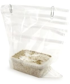 Buy B+ Mushroom Grow kit in Finland Online