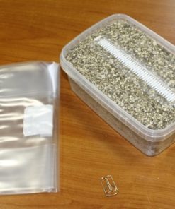 Buy Golden Teacher Mushroom Grow Kit in Finland