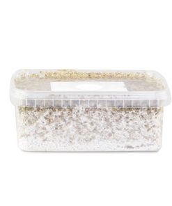 Buy Amazonian Mushroom Grow Kit in Finland online